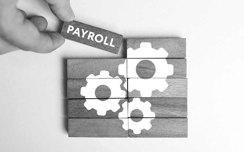 Payroll software.